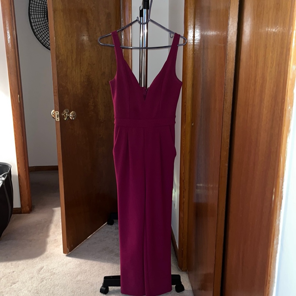 Express Burgundy Jumpsuit